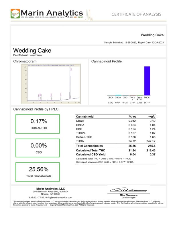 Wedding Cake_page-0001